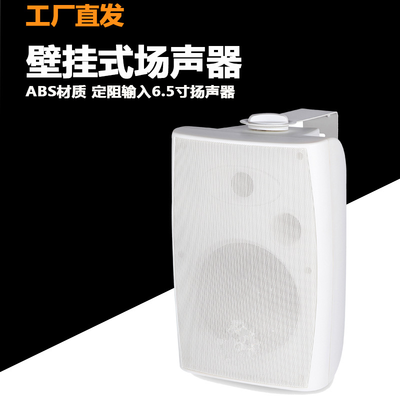 6.5-inch montado en la pared conferencia profesional de audio IP-6 interior hogar alta fidelidad HIFI altavoz xinbao sonido fábrica