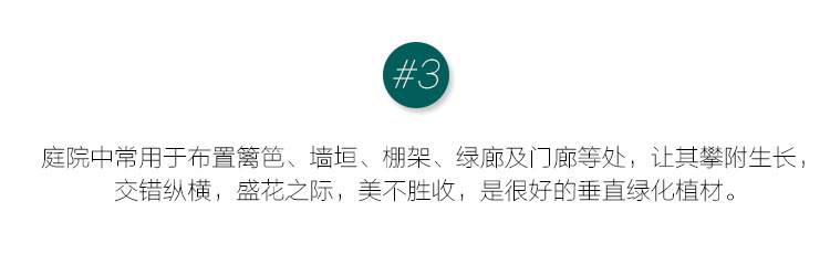 O1CN01l2q6Yu1XaYxRoMFRz_!!2201