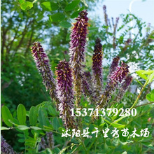 l뻱N޻lޗl뻨ϴ仱lN|r·N