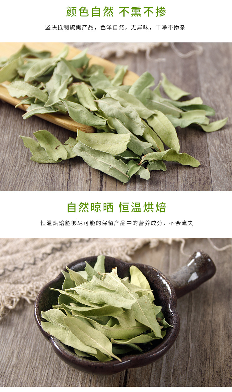 Luobuma Young Leaf & Bud (Apocynum venetum) — Xinjiang Dried Herbal Tea quality and texture