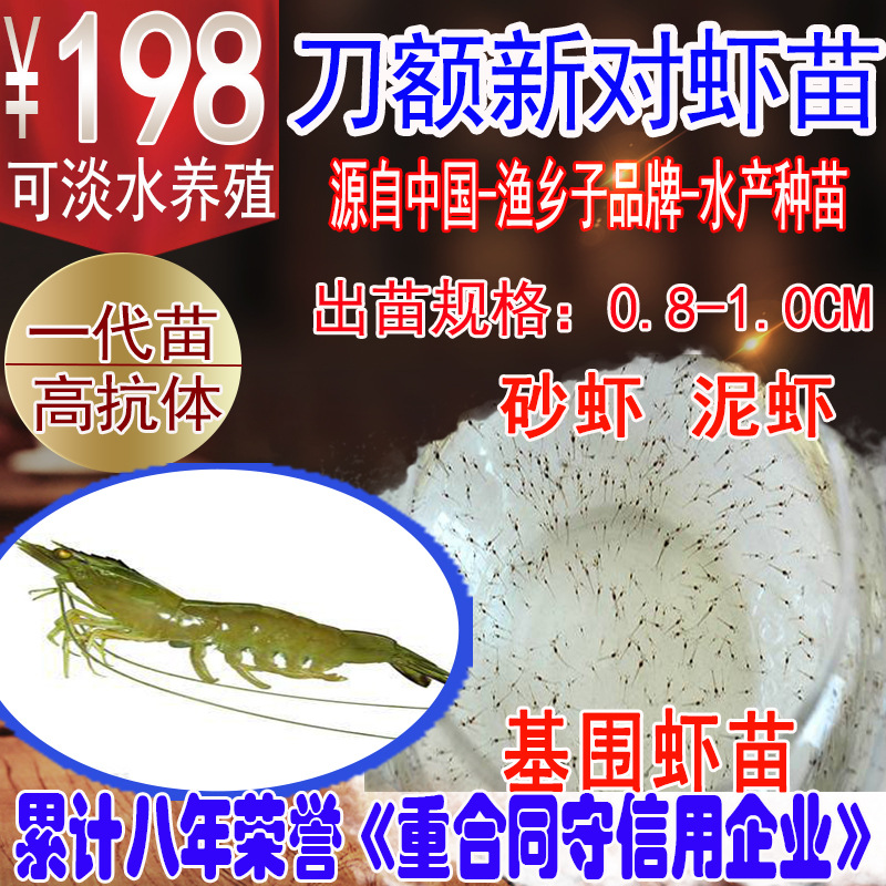 刀额新对虾苗 砂虾苗  麻虾苗 泥虾苗 虾苗 对虾苗 虾苗基围虾苗