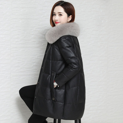 cotton-padded clothes coat student Korean Edition Easy Long Coltsfoot new pattern 2019 Shorty College wind thickening Bread wear