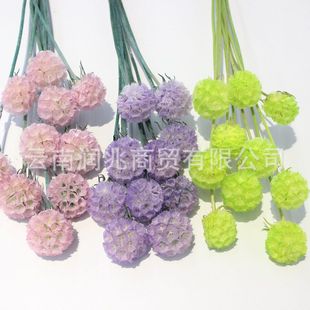 Runzhao immortal windmill fruit pine fruit preservation dry real flower home decoration bouquet flower arrangement material factory wholesale