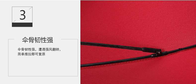 3556232212_909910368