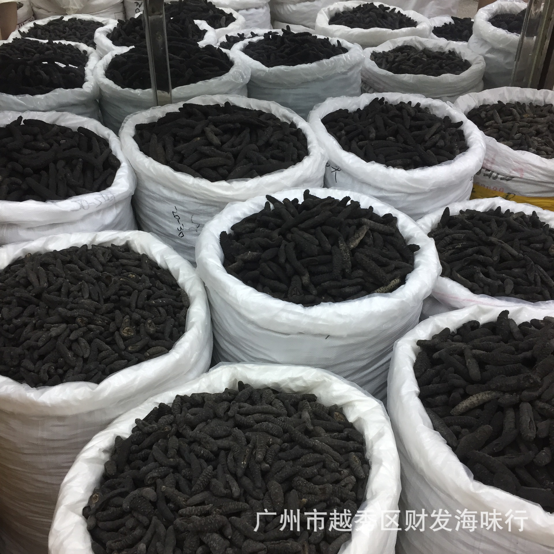 土耳其米刺参 纯淡干土耳其海参 土耳其无刺 希腊疙瘩刺 发头好