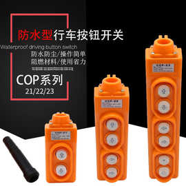 COP-21 213 22 23箭头标志2.2KW防雨型行车按钮控制开关250V 500V