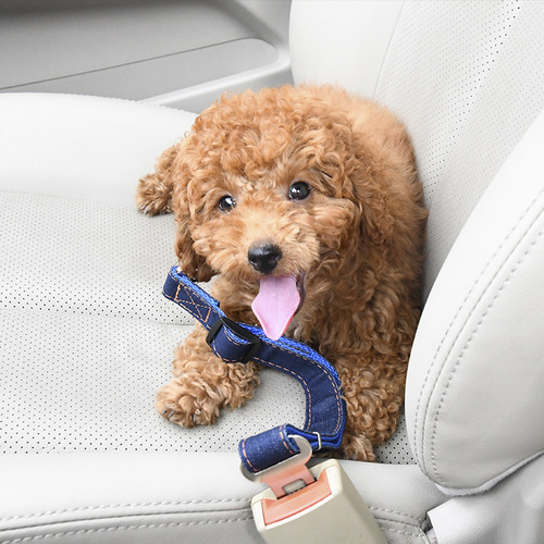 Directly supplied pet car safety rope dog car safety belt denim leash Teddy safety fixed belt