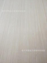 SֱҾ߼zϰ γ pW E1 18mmľzϰ