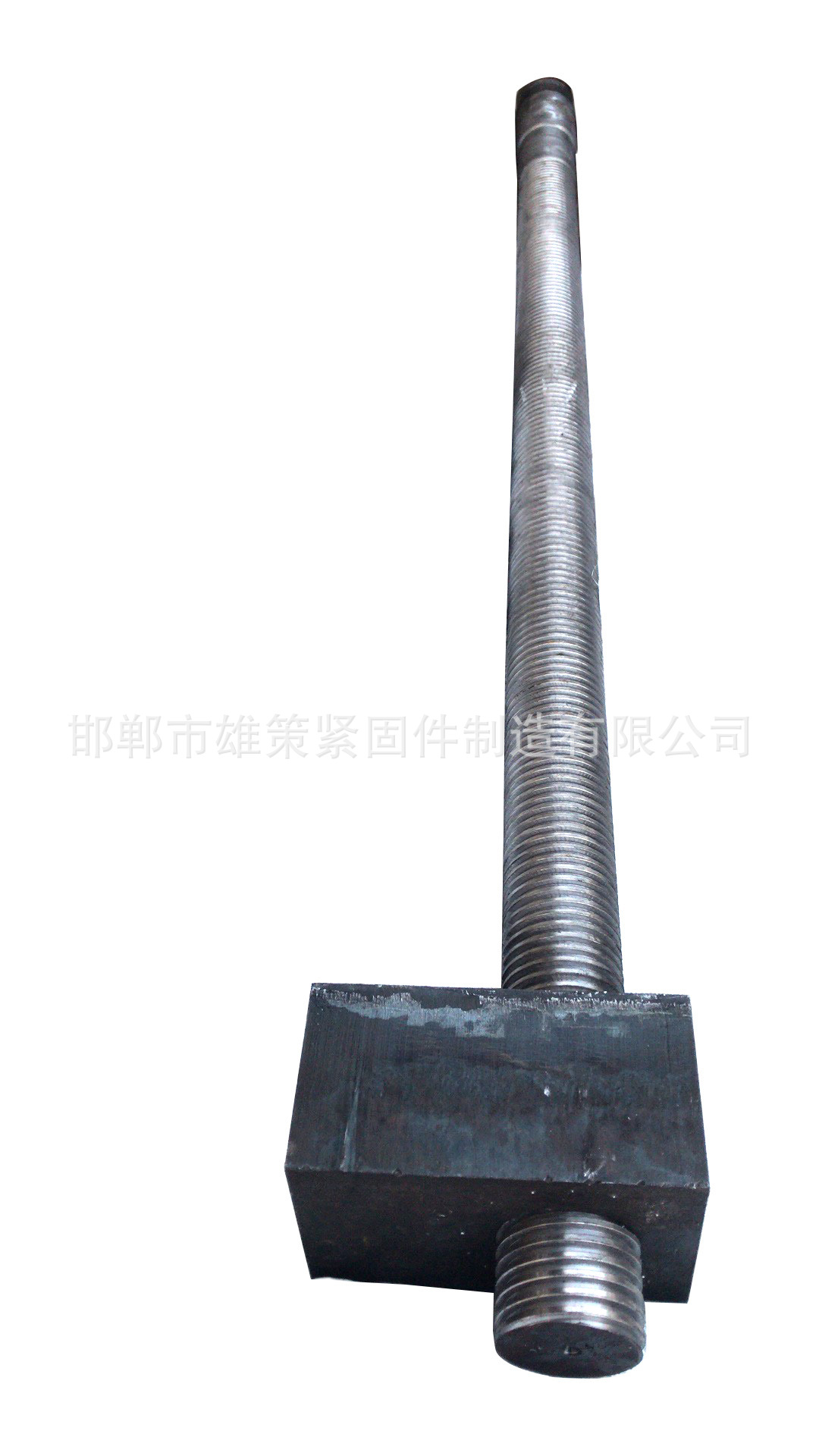 梯形扣丝杆、梯型扣丝杠   T型扣螺杆 厂家直销 量大价优