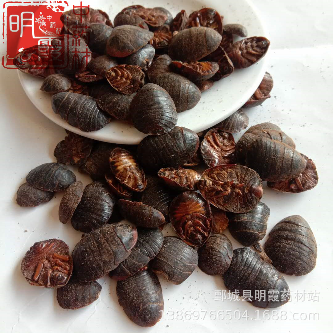 明霞药材【土元】1000克  批发零售供应中药材