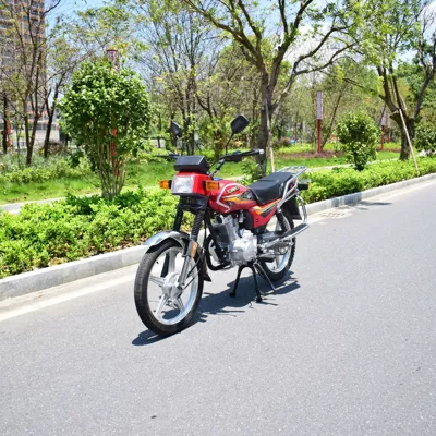 Group Xianying Brand Fuel Two-Wheeled – Motosikletlər
