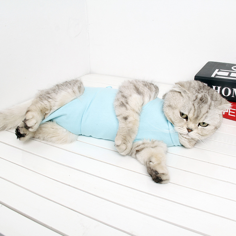 Послеоперационный защитный костюм для кошек Ji Zizi Pet Lick Anti