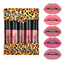 Cross-border matte matte lip glaze five mini set lip gloss lipstick not easy to stain nude pumpkin color