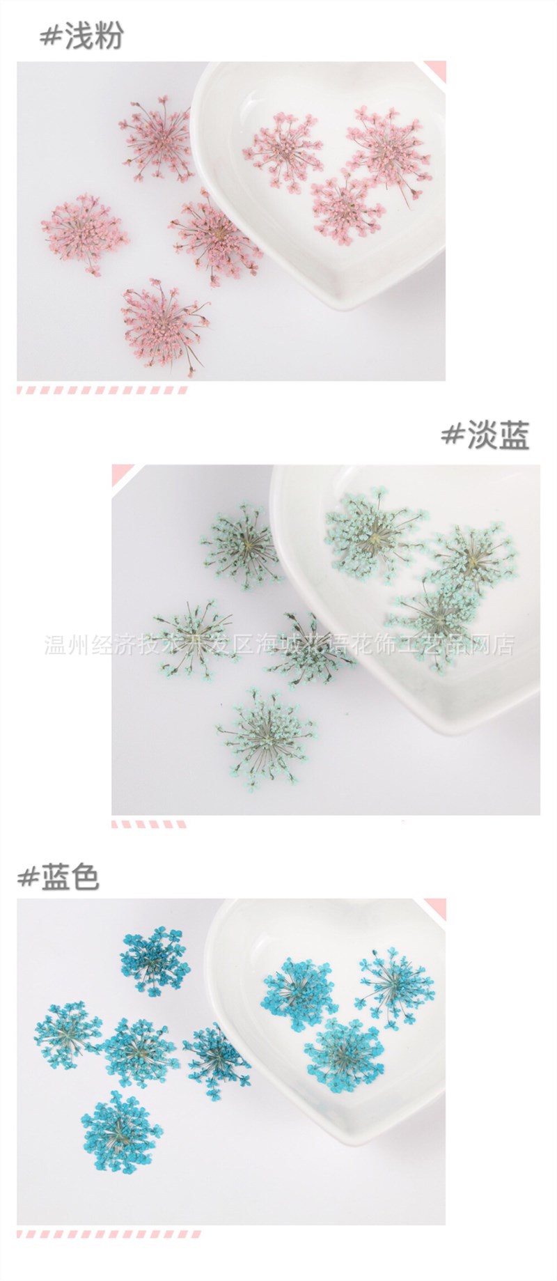 蕾丝花/雪珠花pressed flowers 干花押花 DIY手工水晶滴胶材料包-阿里巴巴