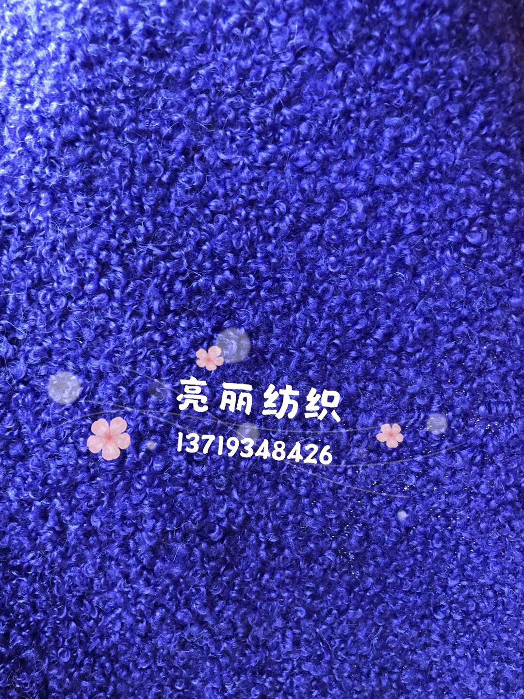 小泰迪5