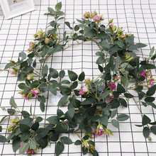 õ1.8Ұõٗlcbõ廨ټ䴹ٻ