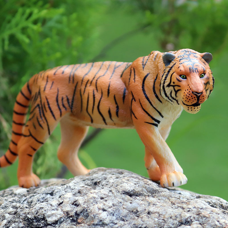 M4181孟加拉黄虎