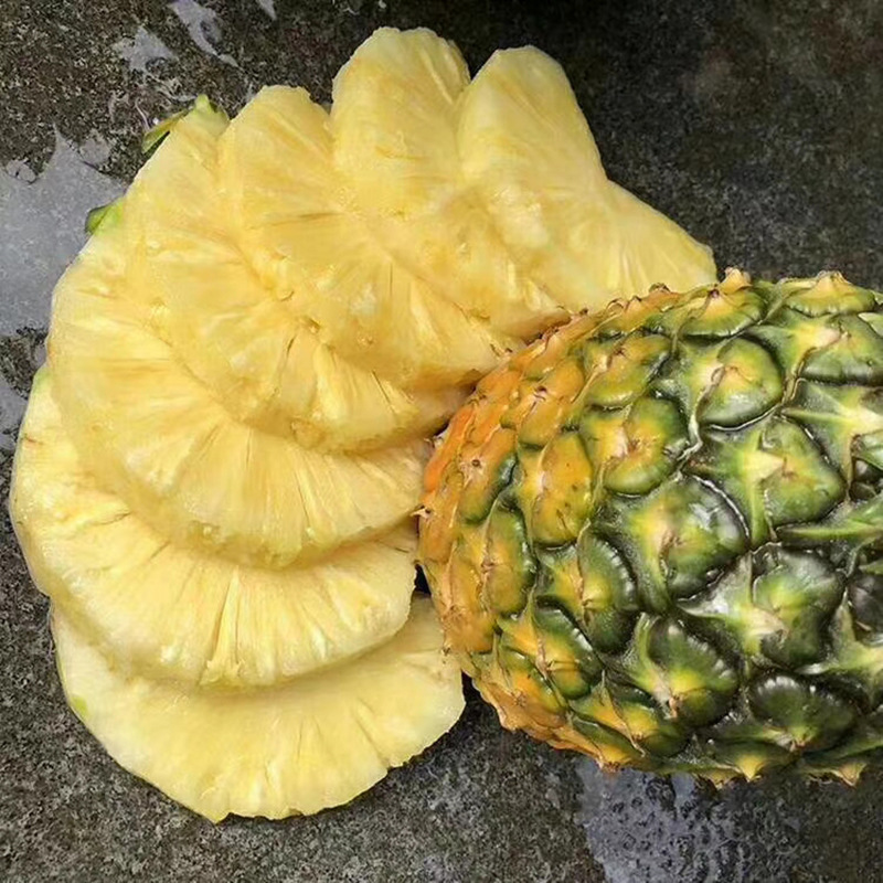 Hainan diamond 17 Pineapple Pineapple fruit A generation of fat