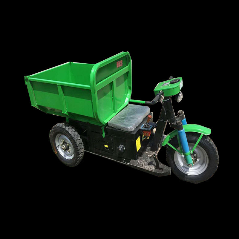 Electric three-wheeled bike