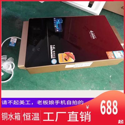 批发家用燃气热水器天然气数码恒温14L16L升家用热水器厂家|ms