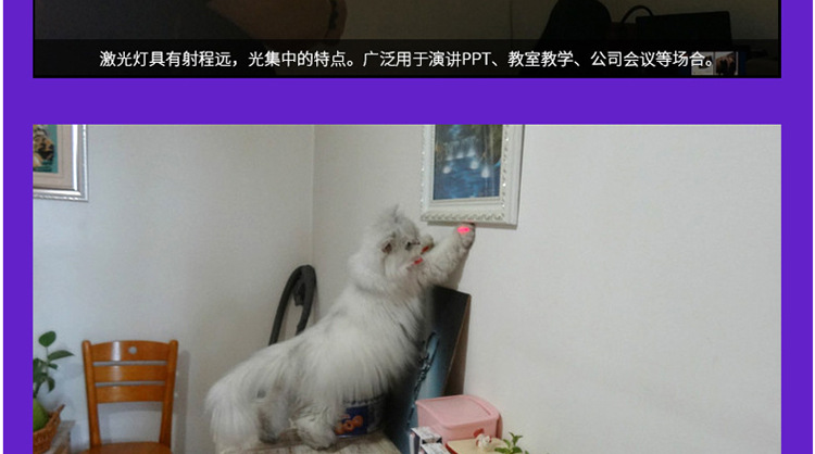 Three-in-one infrared laser light gift LED mini flashlight, golden hoop rod flashlight, ultraviolet banknote detector lamp pic 15