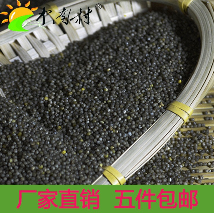 中南村五谷杂粮高原黑小米批发 厂家特产直销 贴牌代加工量大优惠|ms