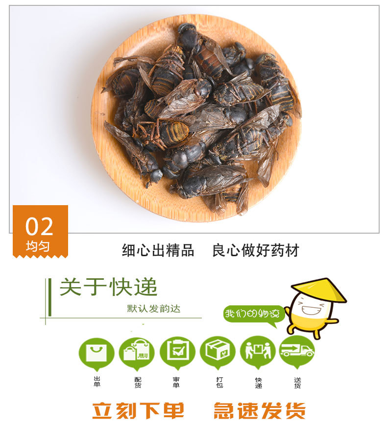 Niu Meng Chong (Tabanus) — Dried Horsefly Insect Herb, 500g Bulk quality and texture