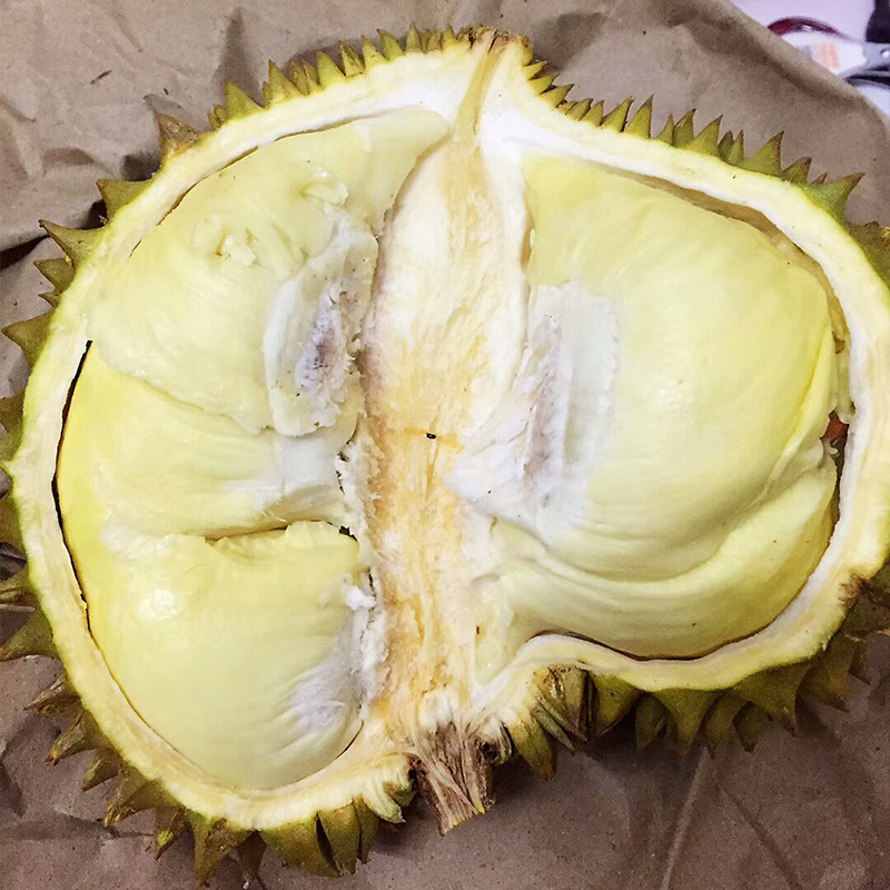 巴掌小金枕榴莲 新鲜水果 泰国金枕头 非甲仑猫山王 一件代发|ru