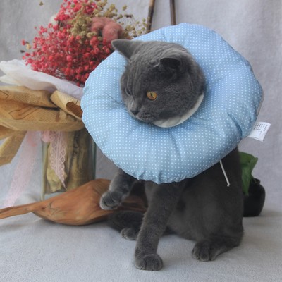 可拆卸宠物伊丽莎白圈 软海棉防舔防咬圈猫咪狗美容保护头套猫圈|ms