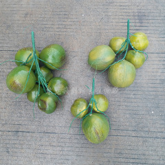 Manufacturer supply simulation tropical fruit coconut palm fruit artificial plastic fruit fake tree accessories for photography props