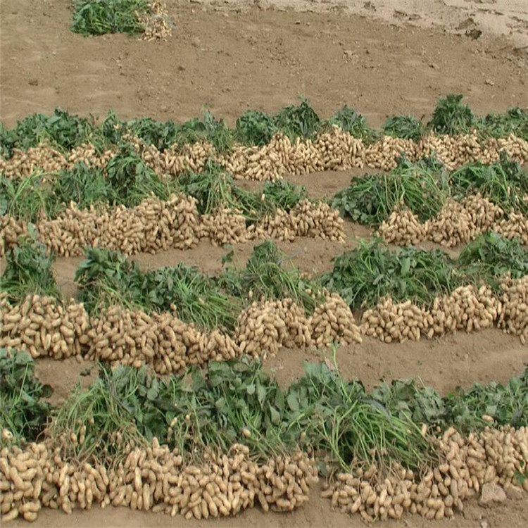 QQ截图20190706094538