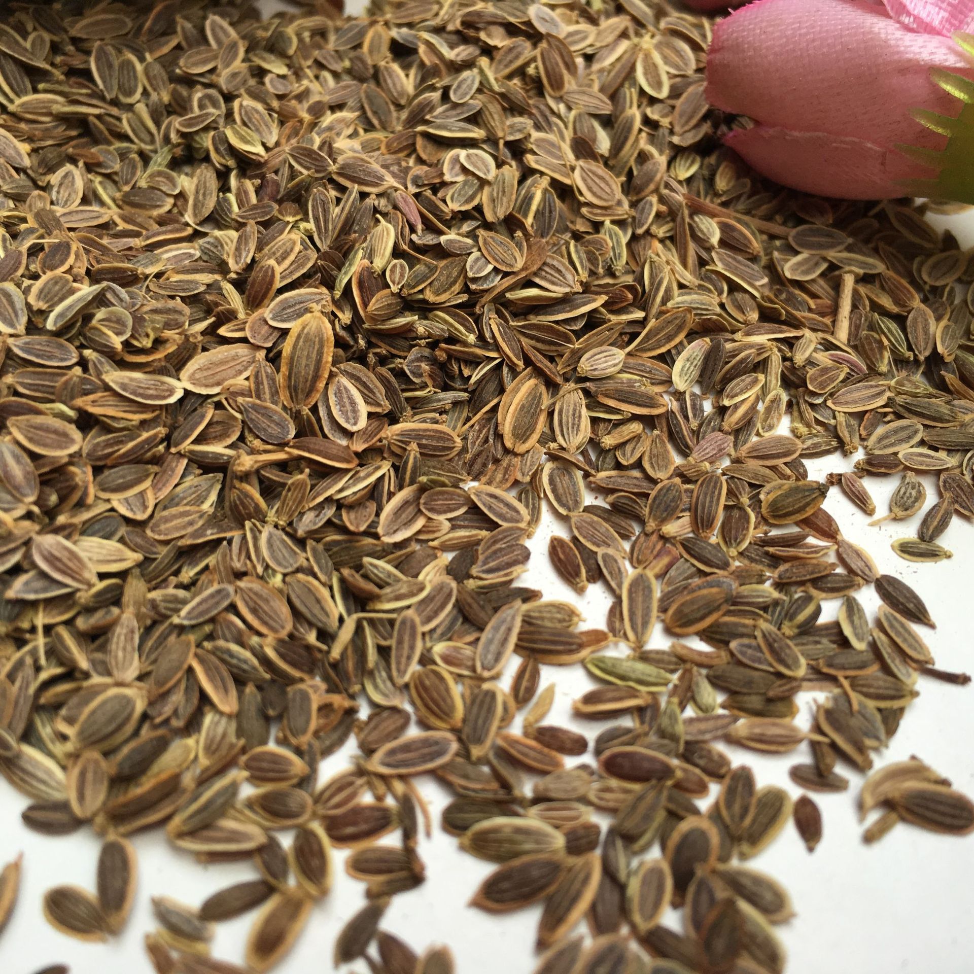 Dried Murraya Paniculata Seeds Qian Li Xiang Zi 500g Culinary Spice for Braising and Marinades key features