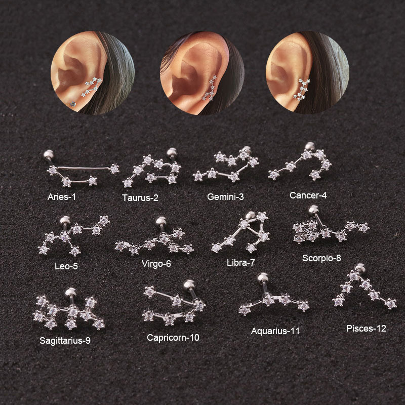 Ear Cartilage Rings & Studs Fashion Constellation 316 Stainless Steel  Copper Inlay Zircon display picture 2