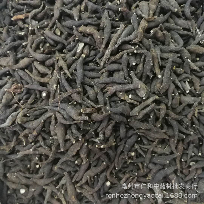 Dried Liang Tou Jian Root 500g Traditional Chinese Herb for Decoction and Herbal Soup specifications