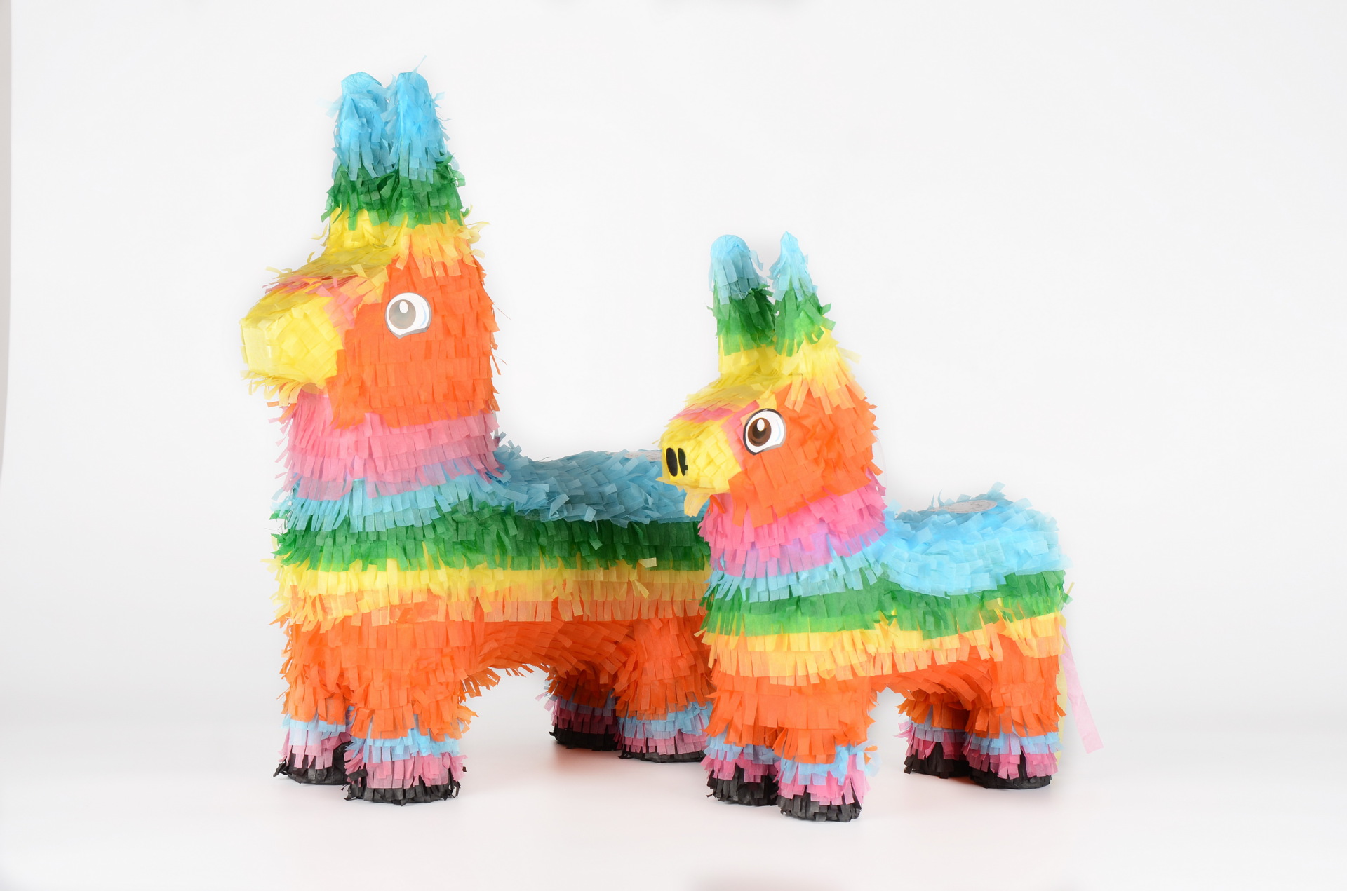 DSC_2434_调整大小