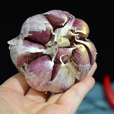 Yunnan Dali Purple garlic Big garlic bulk Wholesale and retail