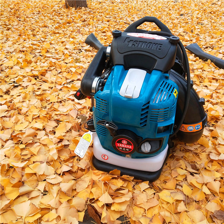 背负式路面吹风机 四冲程吹雪机 大功率风力灭火机