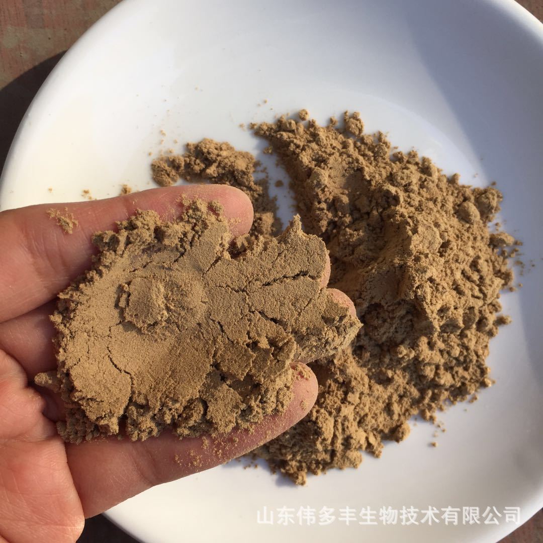 现货供应地衣芽孢杆菌现货农业用饲料添加量大优惠地衣芽孢杆菌