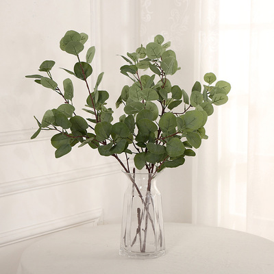 simulation Botany Northern Europe Eucalyptus Money to ground a living room Home Furnishing decorate Decoration flower arrangement Manufactor Direct selling