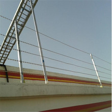 SֱIƬKP䓾Wֱl̷KoƬ̽z