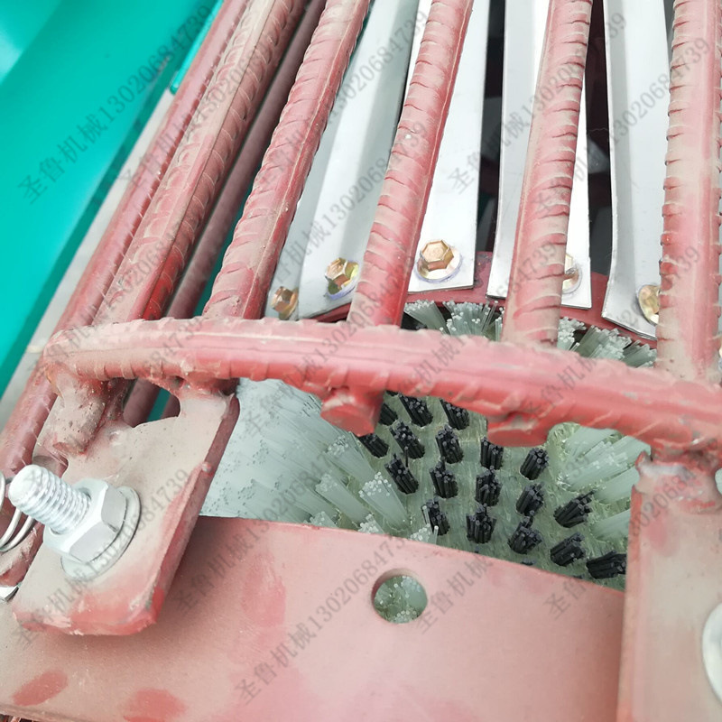 鮮核桃清洗去皮刀