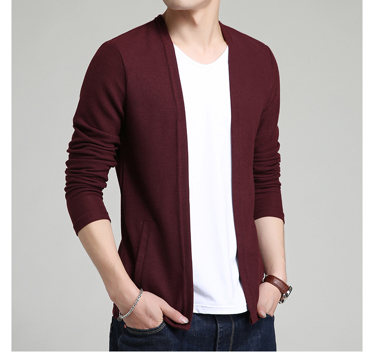 Pull homme MARQUE INDéPENDANTE en Coton - Ref 3417923 Image 18