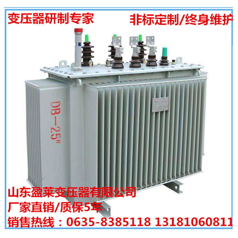 S13油浸式变压器_.jpg