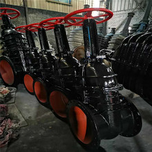 明桿楔式閘閥 Z41T-16Q 大口徑 鑄鐵明桿閘閥 DN300