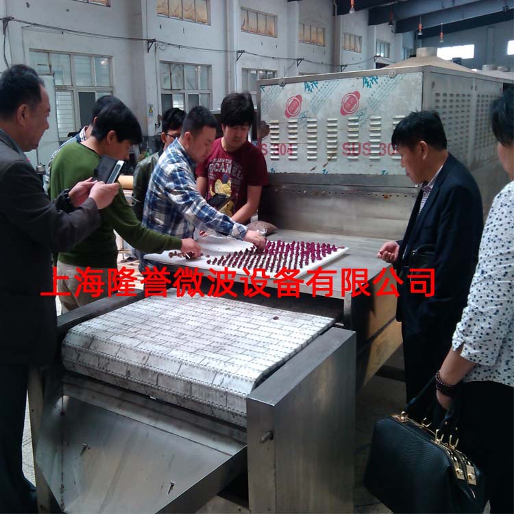 微波菊花微波农产品烘干机微波食品烘干机五谷杂粮膨化熟化设备