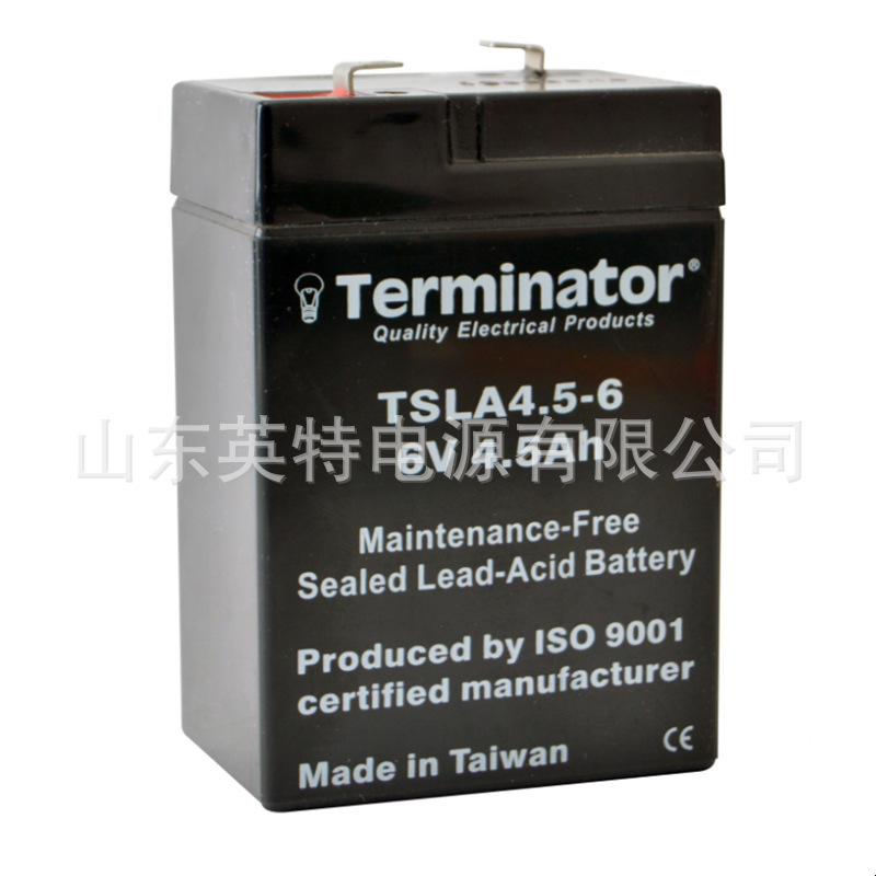 Terminator蓄电池 TSLA4.5-6 6V4.H 机械臂 医疗 仪器 船舶