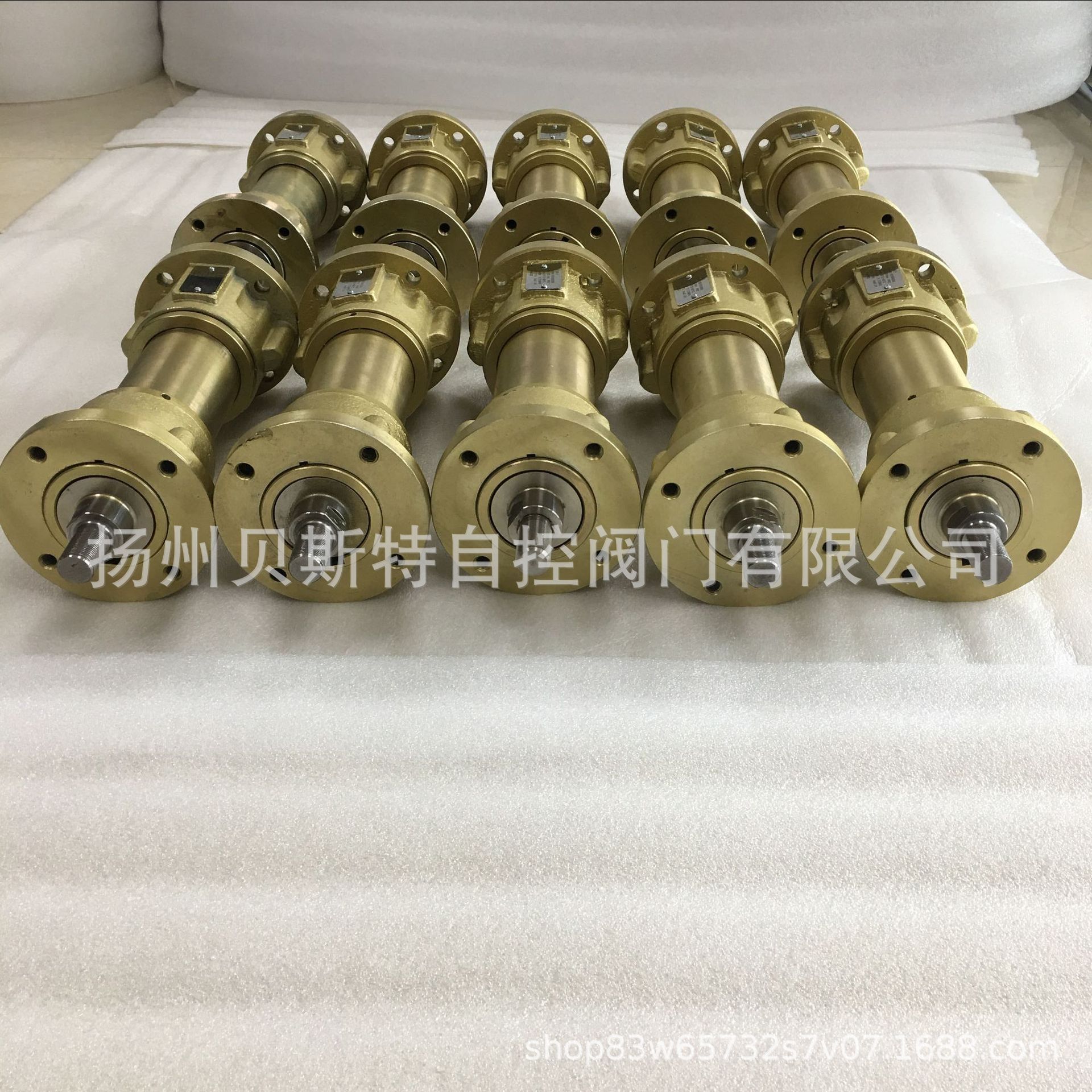 电动执行器2SA5031-5EE10-4BB3-Z线性推力器LE50.1/125mm线性单元