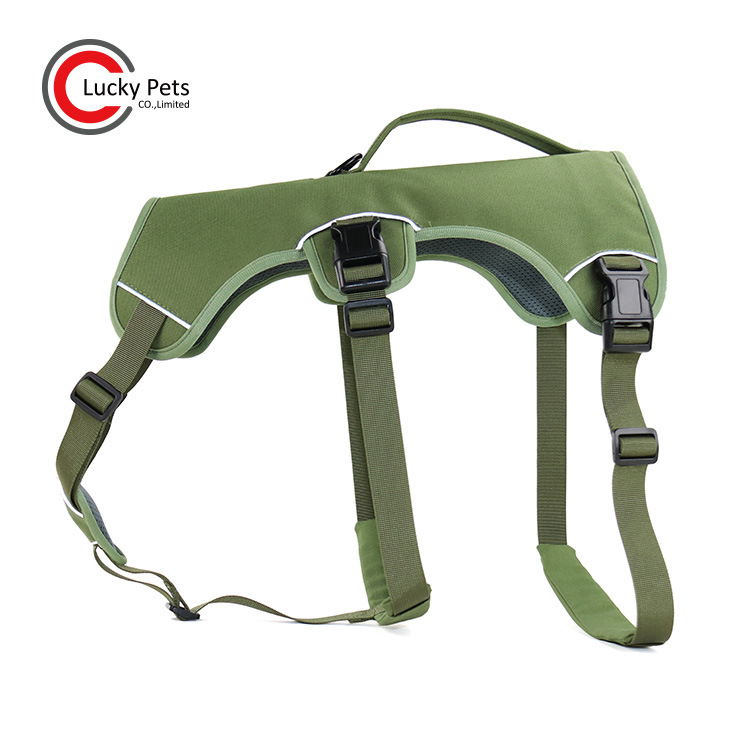 óƿɵڷⷫ幷óر羳