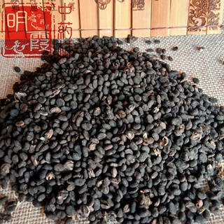 明霞药材 中药材批发供应【补骨脂】1千克