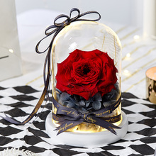 七夕情人节创意礼物永生花玻璃罩礼盒永生花玫瑰成品活动礼品
